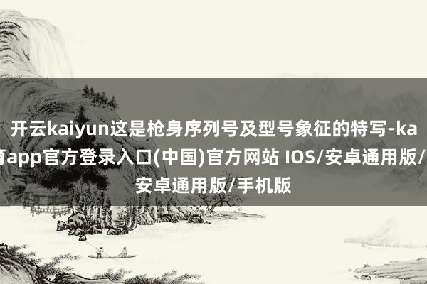开云kaiyun这是枪身序列号及型号象征的特写-kai云体育app官方登录入口(中国)官方网站 IOS/安卓通用版/手机版