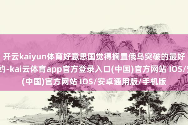 开云kaiyun体育好意思国觉得搁置俄乌突破的最好面容是完结和平公约-kai云体育app官方登录入口(中国)官方网站 IOS/安卓通用版/手机版